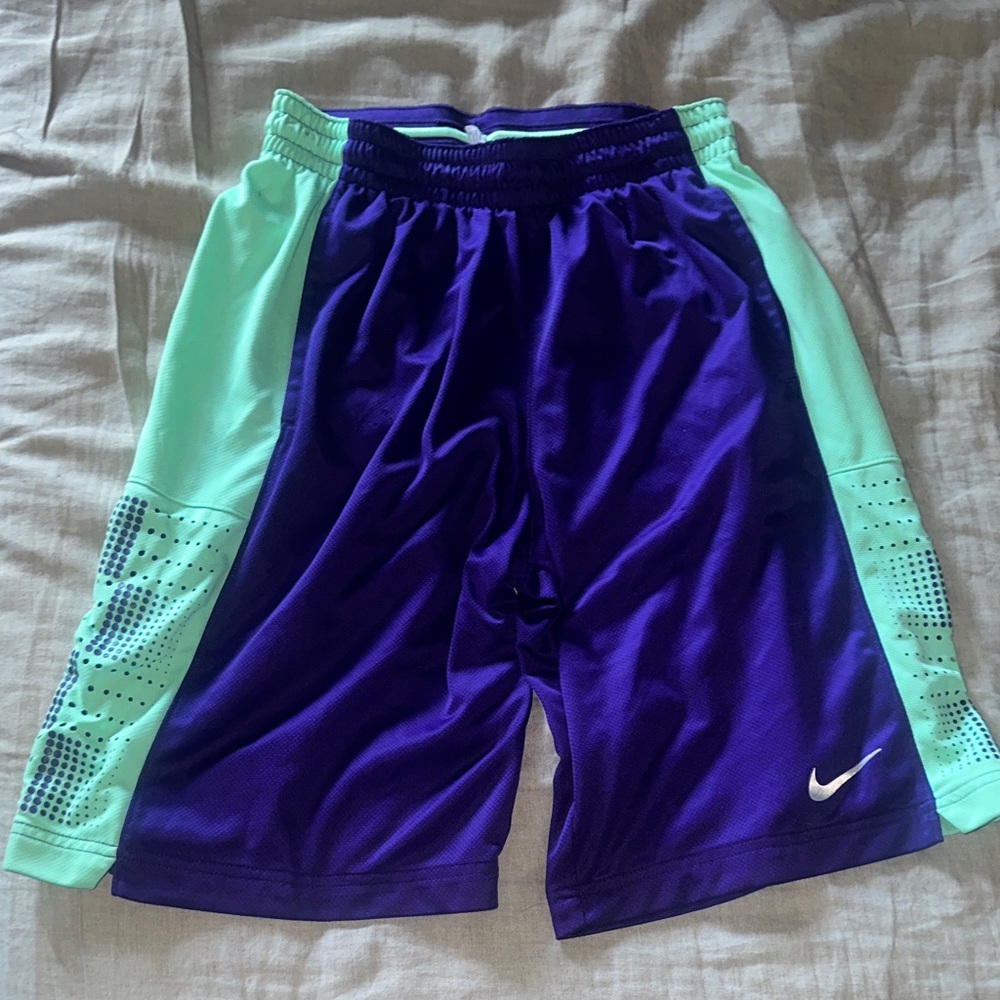 Nike Purple and Mint Athletic Shorts